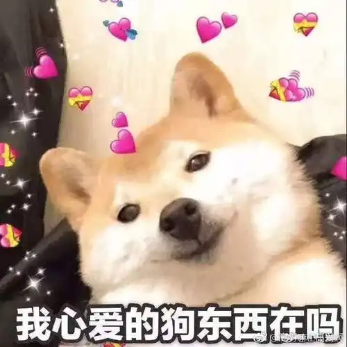菠菜十大平台推荐中国官网安卓ios苹果电脑版
