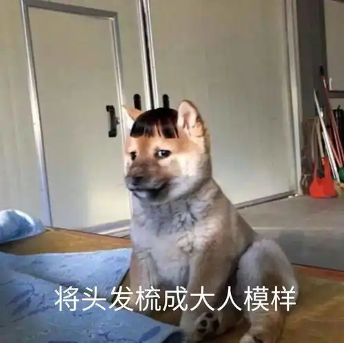 表情包杂集猛狗哭泣
