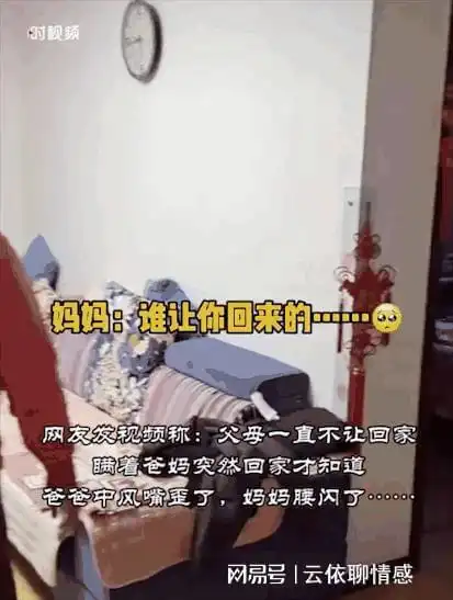 生命中最重要的财富感知当下,成就自己

