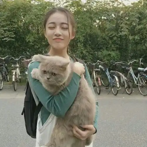 遇见对的人是什么体验
