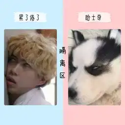 我是大哥大沙雕表情包的对决
