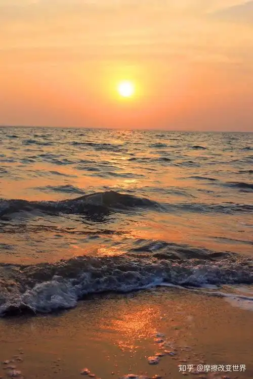 海边的朝阳有多美
