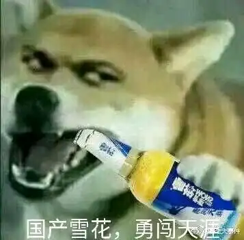 兄die和情侣都可以用的头像
