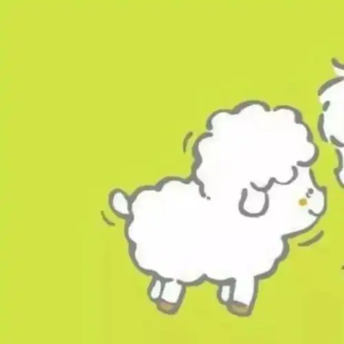 ins小众情头

