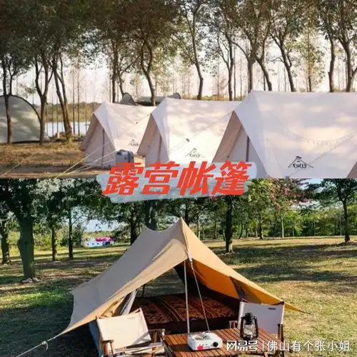 中秋佛山团建活动野炊玩法大揭秘
