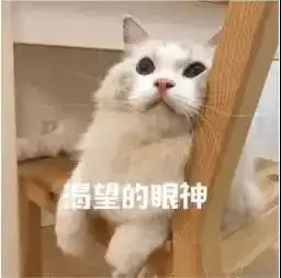 高价倒卖冰墩墩,3人被罚
