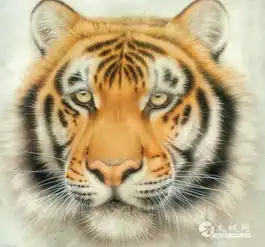 丹田为虎,脊椎为龙

