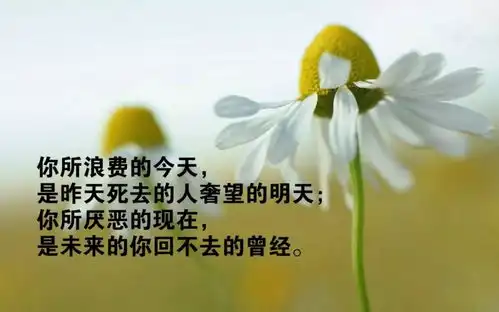 最新早安图片励志语录微信朋友圈正能量激励人的短句子
