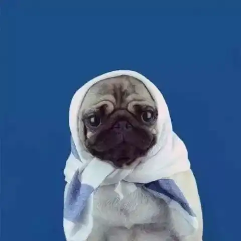 过个年,你大概花了多少钱
