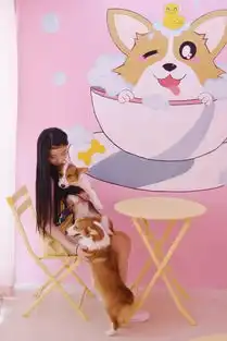 撸狗圣地魔都首家柯基咖啡店来了,小短腿萌炸啦
