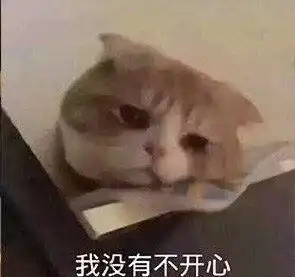 叹气表情包生活不易,猫猫叹气
