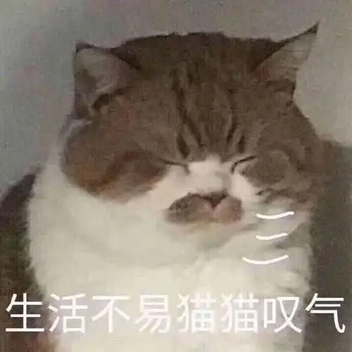 生活不易猫猫叹气猫猫叹气不易生活表情
