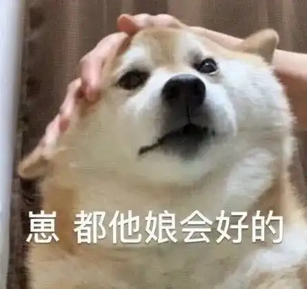 uu们,有没有什么建议培养的技能
