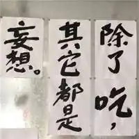 微信特殊头像独一无二2019独一无二头像图片
