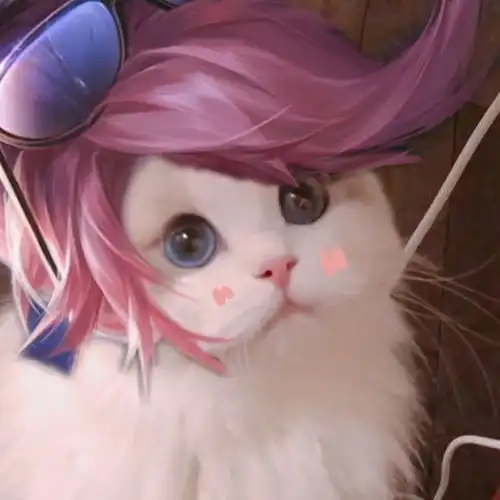 王者荣耀情侣猫咪头像
