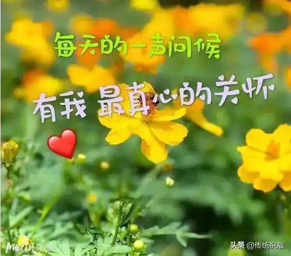 12月18日微信早上好祝福问候语,早安唯美鲜花图片分享
