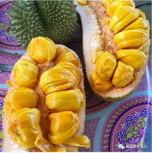 三年里,这对情侣餐餐只吃水果只是这变化,有人欣赏有人担忧果食主义者
