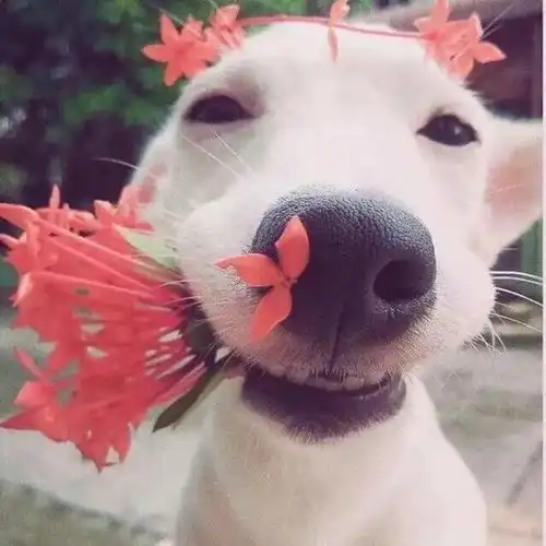 房屋漏水如何维权
