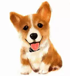 文明创建文明养狗倡议书
