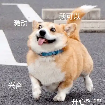 奥运女子群像,狠狠修正你的审美
