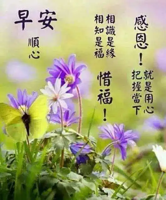 微信早上好暖心祝福语图片,2021年最美早上好祝福语图,祝你早安朋友
