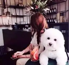 别再误会你的狗狗了,看了这篇文章,你再也不会误解你的狗狗
