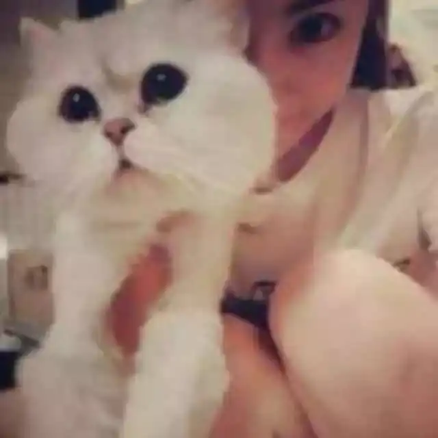 儿女到底让老人做了什么竟在三年内暴瘦十多斤累出抑郁症
