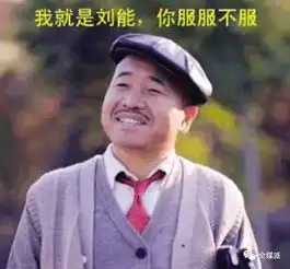 国产神剧乡村爱情折射的传播现象收视培育审美变迁与中二解构
