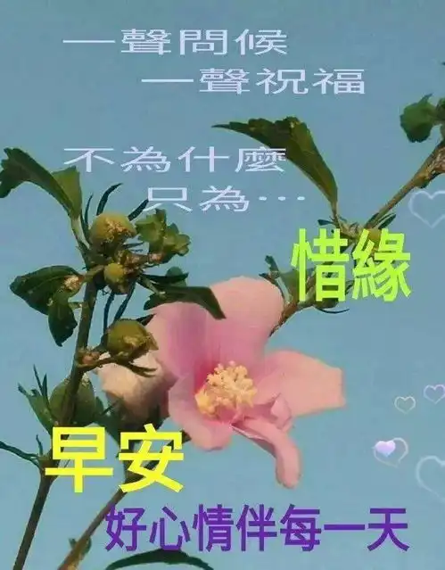 2021寒冬微信群发早安祝福图片,早上好祝福语录大全
