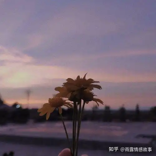 父母和已婚子女的相处之道
