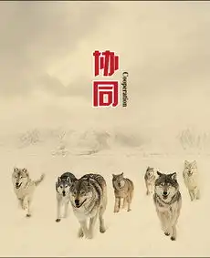 企业文化海报背景图片免费下载广告背景psd千库网图片编号5107051
