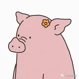抖音比较火的头像,小可爱头像大全
