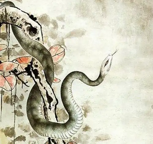年生肖蛇,不同年份出生的,不同的命运,你家有么
