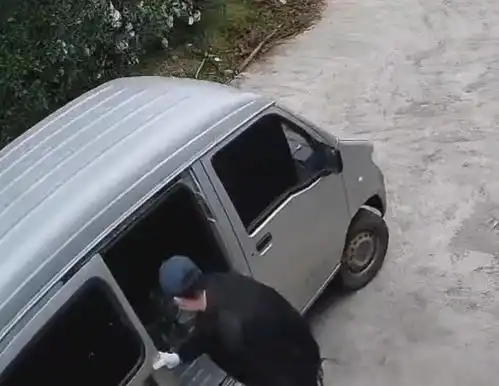 丹棱小伙伴,偷狗面包车出没,请注意
