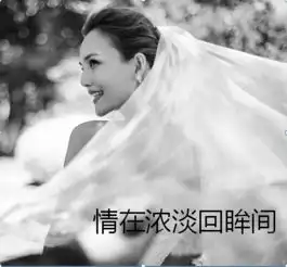 新闻频道滚动新闻最新更新
