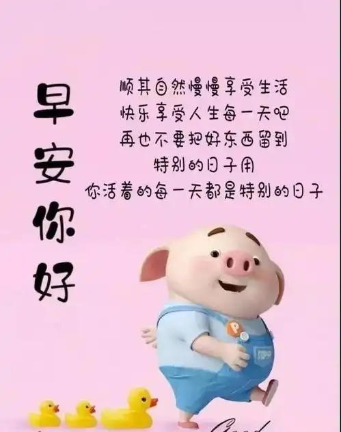 非常漂亮早上好动态表情图片大全,早晨好动图美图大全
