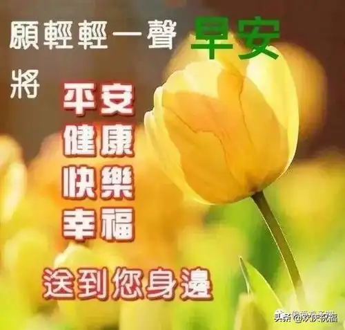 用心做人,用爱做事,你想要的,岁月统统会给你,早安
