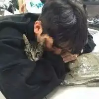抱猫的男生头像高清微信头像图片大全

