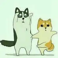 柴犬berry微信头像微信头像图片大全
