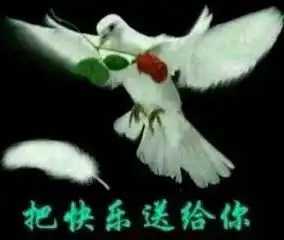 千万别轻易换微信头像一不小心就会发现自己不是亲生的

