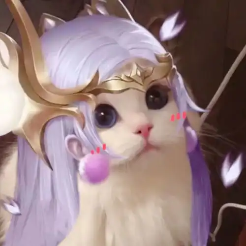 小猫咪能有什么坏心思王者猫咪头像法师篇
