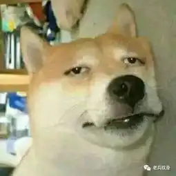 5.20,除了秀恩爱之外,还能花式虐狗啊单身狗勿进
