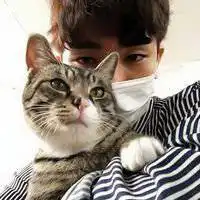 男生抱猫头像一左一右微信头像图片大全
