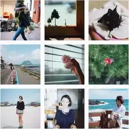 一夜火遍ins的济州夫妇的小确幸
