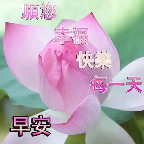 简短早上好问候语大全,祝福图片,未来可期人生值得
