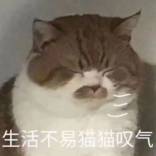 生活不易猫猫叹气猫猫叹气不易生活表情
