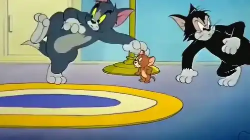 猫和老鼠汤姆和黑猫比赛谁抓到杰瑞就能留下,两只互相拆台
