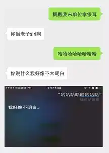 逗逼情侣的日常,附聊天记录
