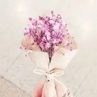 2018美丽花儿微信头像微信头像图片大全
