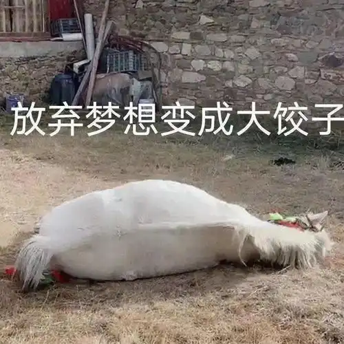 网传丁真准备与tvb合作拍戏大家已经撸起袖子,却眼泪汪汪的回去
